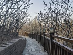 -南翠屏公园