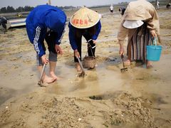 -北海金海湾红树林生态旅游区