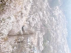-崂山九水游览区