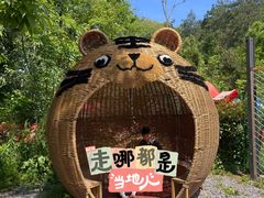 -青龙山国家森林公园