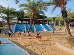 -宝安西湾红树林湿地公园