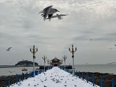 -栈桥景区