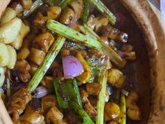 -天宝食坊·啫啫煲大排档(西华路店)