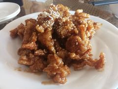 -南宫温泉水世界