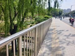 -元大都城垣遗址公园