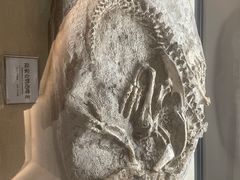 -辽宁古生物博物馆