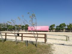 -松声马术俱乐部