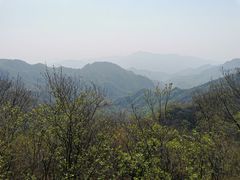 -大岭沟猕猴桃谷风景区