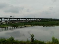 -呼兰河口湿地公园