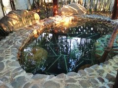 -观唐（国际）度假村温泉