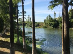 -艾溪湖湿地公园