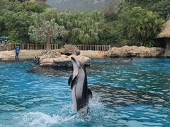 -珠海长隆海洋王国