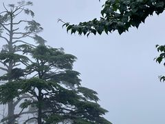 -峨眉山风景名胜区