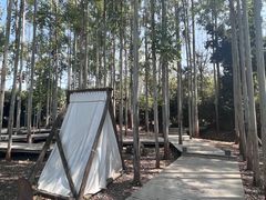 -桉树林A coffee 森林餐厅(三圣乡店)