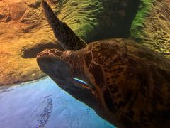 -秦皇岛新澳海底世界