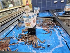 -盒马X会员店(王府井奥莱UP TOWN店)