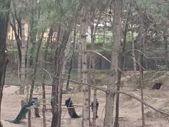 -青藏高原野生动物园