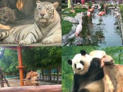 -灵玲国际马戏城