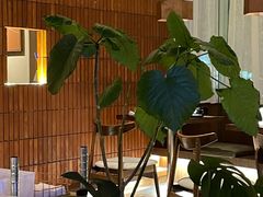 -山杏yama-katsu·吉列炸物