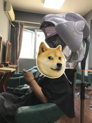 -99烫染
