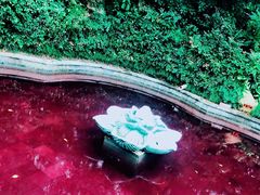 -杭州第一世界大酒店·云曼温泉