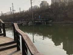 -前关湿地公园