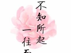 -醉得意(济南万达店)
