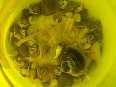 -北海金海湾红树林生态旅游区