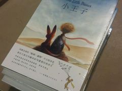 -北方图书城(沈阳天地店)