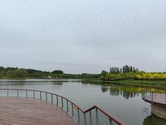 -东郊湿地公园