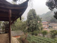 -杨家堂村