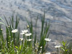 -济州森林小火车生态公园