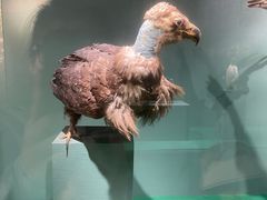 -温州博物馆