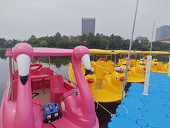 -美兰湖景区