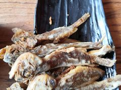 -肉串汪(望京店)