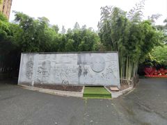 -陈家山荷花公园