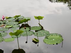 -成都南湖公园