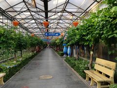 -南宫五洲植物乐园