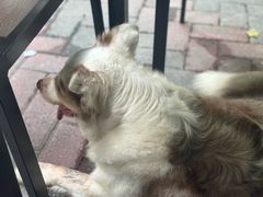 -豆舞咖啡(民乐路店)