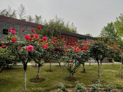 -武汉园博园(武汉自然博物馆)