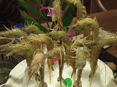 深水虾-尚海豆捞(乐虹坊店)