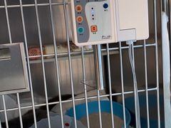 -北京恒爱动物医院(清景园分院)