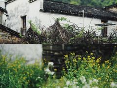 -上坦村