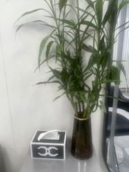 -TRIMS HAIR 修剪造型·烫染接发