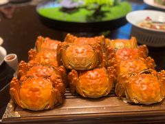 -常州武进九洲喜来登酒店