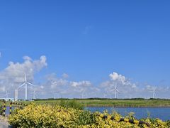 -启东黄金海滩景区