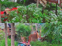 -南宫五洲植物乐园