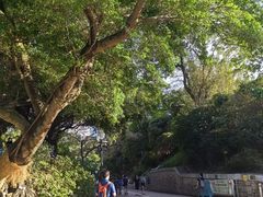 -九龙公园