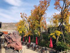 -疯克大象美式烤肉餐厅