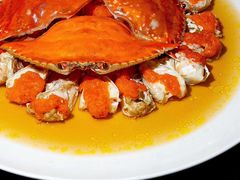 -甄御•海鲜新青岛菜(麦岛店)